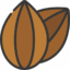 sunflower seed